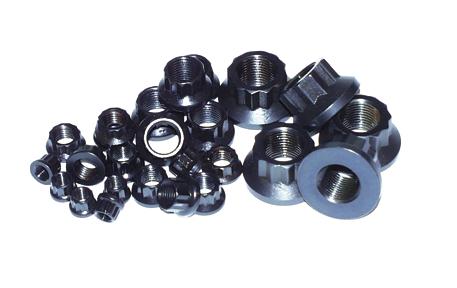 ARP 5/16in -24 12pt Nut Kit (Pack of 10)